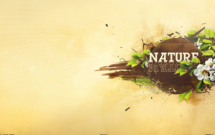 快速版本控制的手机号测压源码